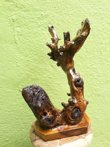 Teak Wood sculpture Small Driftwood Branch Table Decor thumb