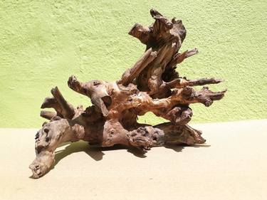 Teak wood Branch sculpture Natural Driftwood Decor thumb