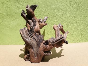 Teak wood Branch sculpture Natural Driftwood Decor thumb