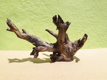 Teak wood Branch sculpture Natural Driftwood Decor thumb