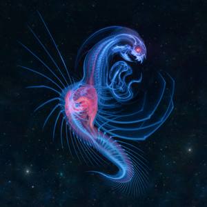 Blue Dragon