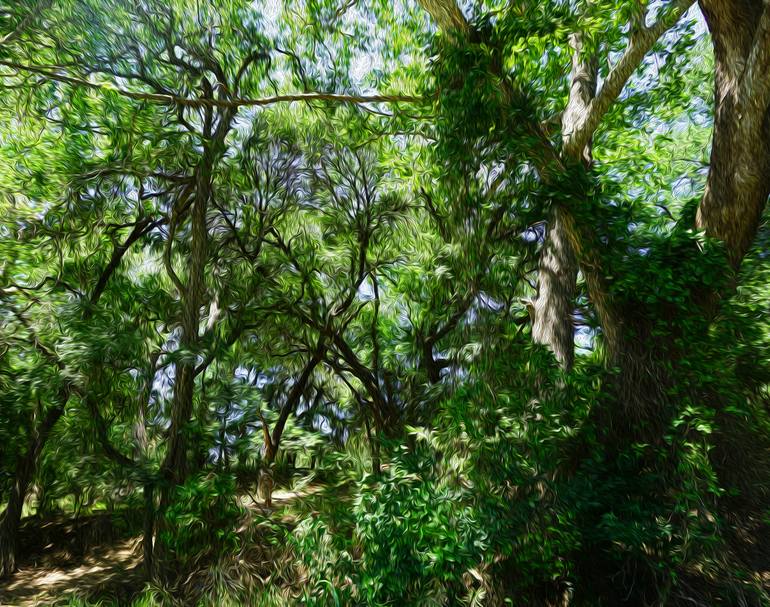 View in a Room Artwork