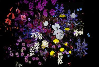 Original Expressionism Floral Photography by Nancy Wood