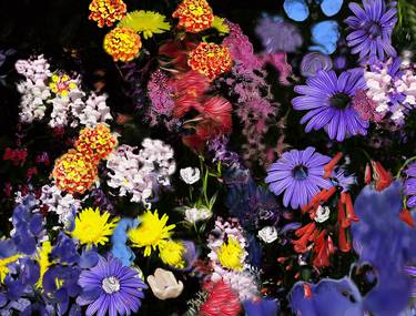Print of Expressionism Floral Photography by Nancy Wood