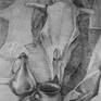 view additional image 1