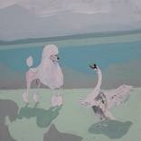 Collection 20% Week 33 2/19-2/25