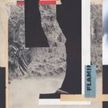 UNTITLED (FLAM) by Andrei Cojocaru