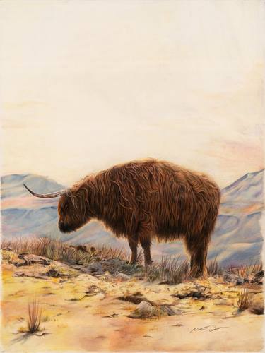 Original Realism Animal Drawings by Matthew Bohn