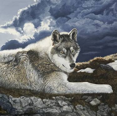 ‘Calm Before the Storm’ - Timber Wolf thumb