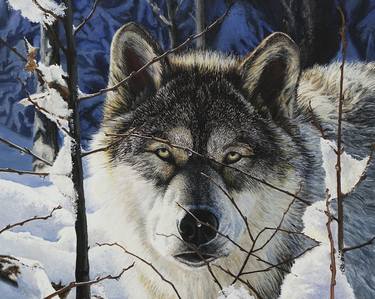 Original Fine Art Animal Paintings by Laara Cassells