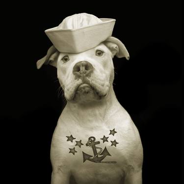 Original Fine Art Dogs Photography by Ron Schmidt