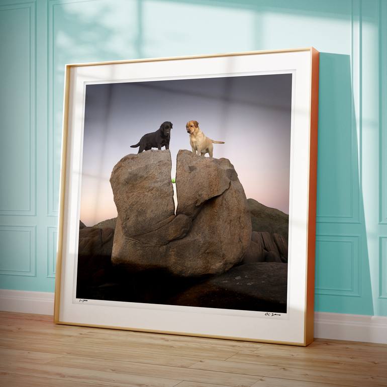 Original Conceptual Dogs Photography by Ron Schmidt