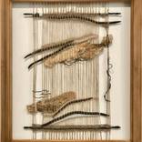 Collection Back to Nature