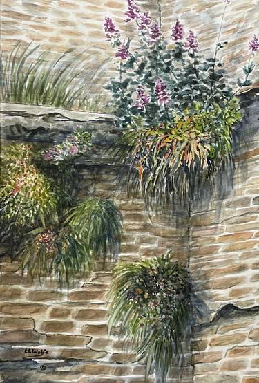 Original Botanic Paintings by Elaine Wolfe