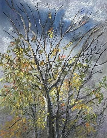 Original Fine Art Tree Paintings by Elaine Wolfe
