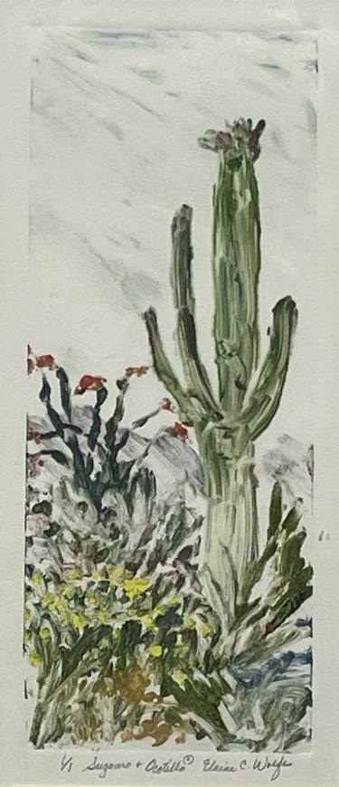Original Fine Art Botanic Printmaking by Elaine Wolfe