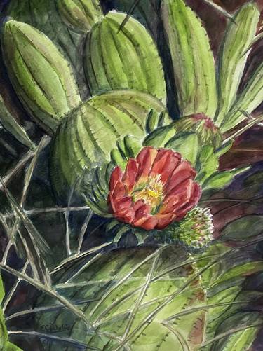 Original Floral Paintings by Elaine Wolfe