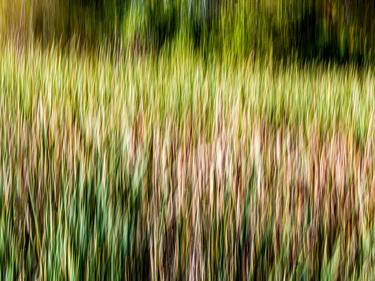 Original Abstract Photography by William Leirer