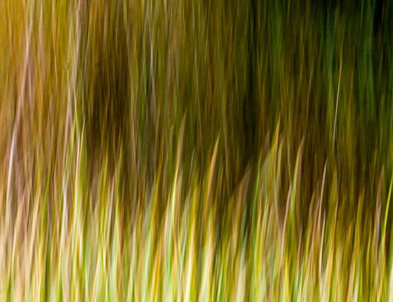 Original Abstract Photography by William Leirer