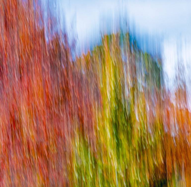 Original Impressionism Landscape Photography by William Leirer