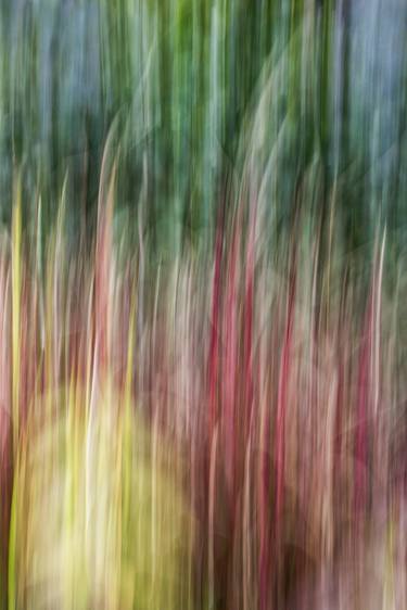 Original Abstract Expressionism Abstract Photography by William Leirer