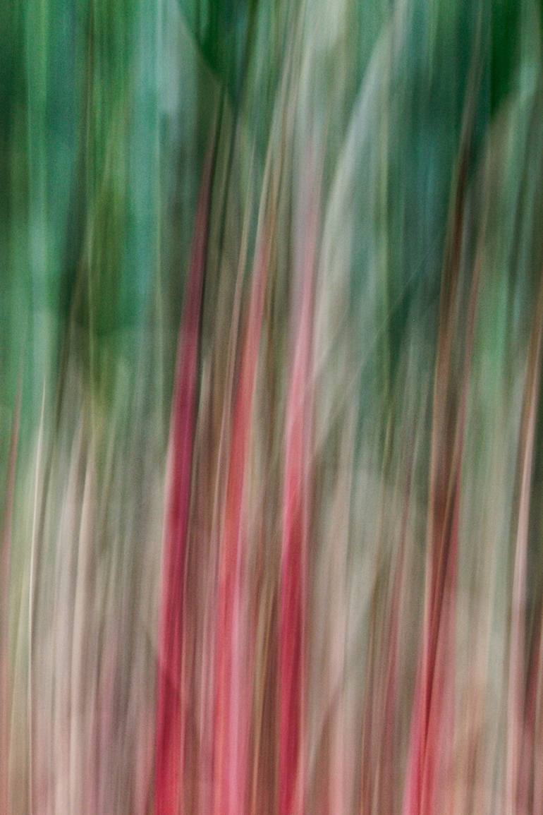 Original Abstract Expressionism Abstract Photography by William Leirer