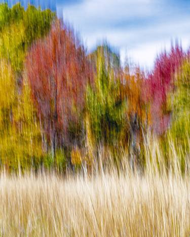 Original Impressionism Landscape Photography by William Leirer