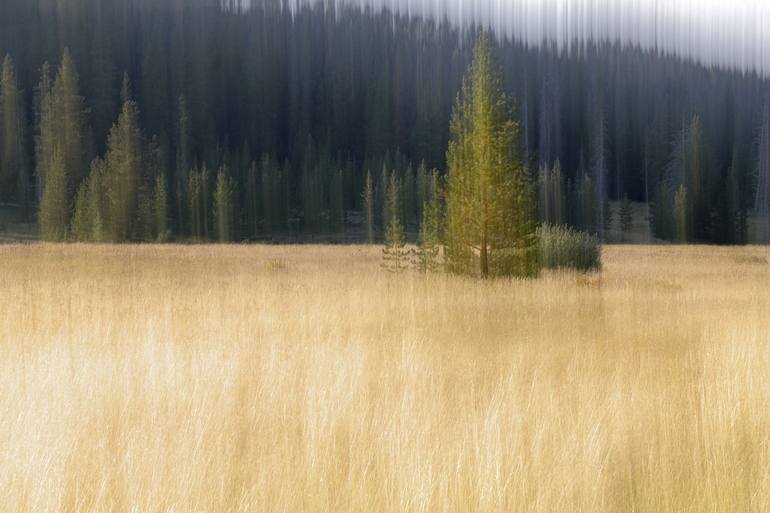 Original Expressionism Landscape Photography by William Leirer