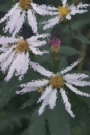 Long Petals of Glass (on acrylic ready-to-hang) thumb