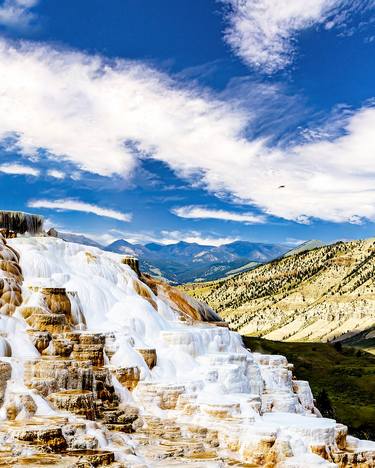 Terraces at Mammoth Hot Springs (on acrylic ready-to-hang) thumb