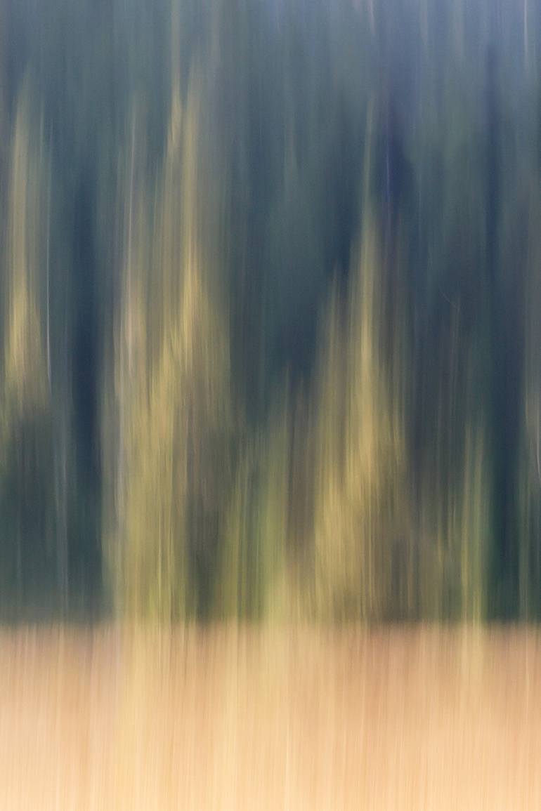 Original Abstract Photography by William Leirer