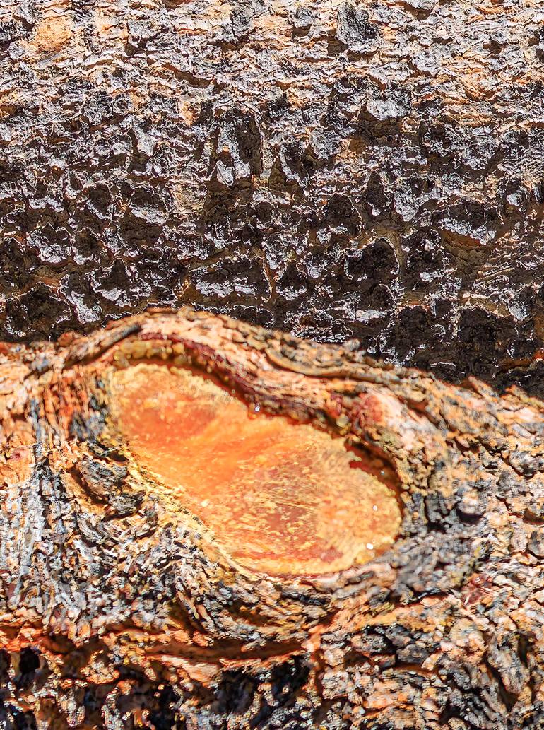 Original Expressionism Light Photography by William Leirer