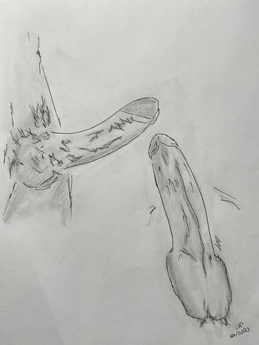 Original Expressionism Nude Drawings by Juan Rosales