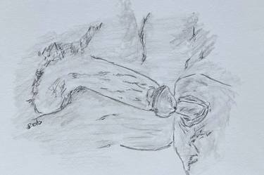 Original Figurative Erotic Drawings by Juan Rosales