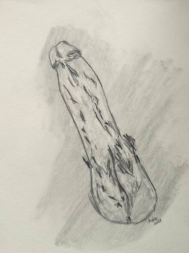 Original Nude Drawings by Juan Rosales