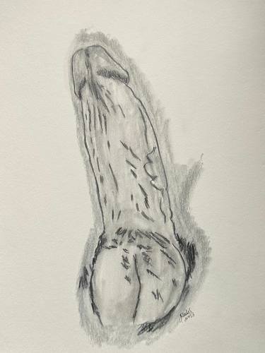 Original Nude Drawings by Juan Rosales