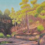 Collection Oil Paintings Under $2,500