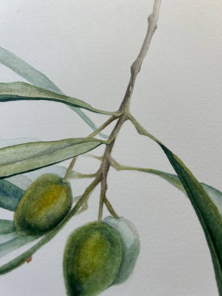 Original Illustration Botanic Painting by Julia Gorislavska