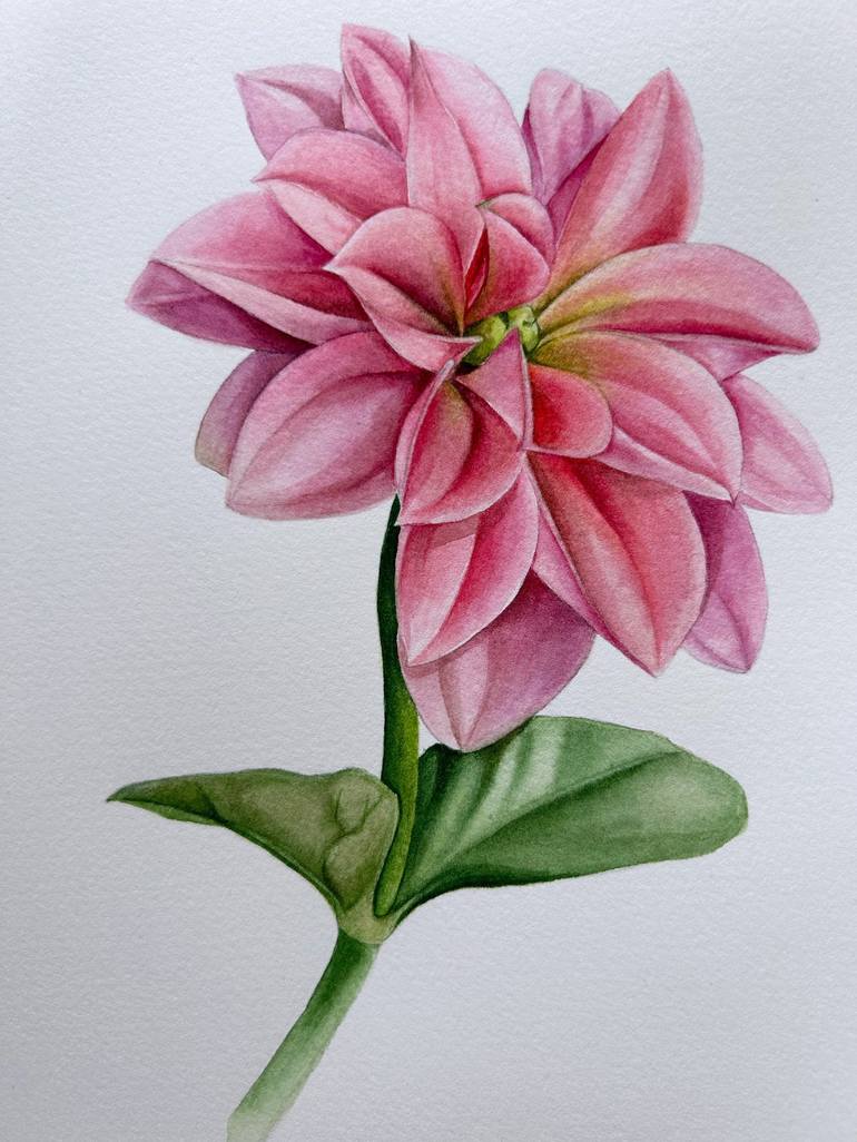 Original Illustration Botanic Painting by Julia Gorislavska