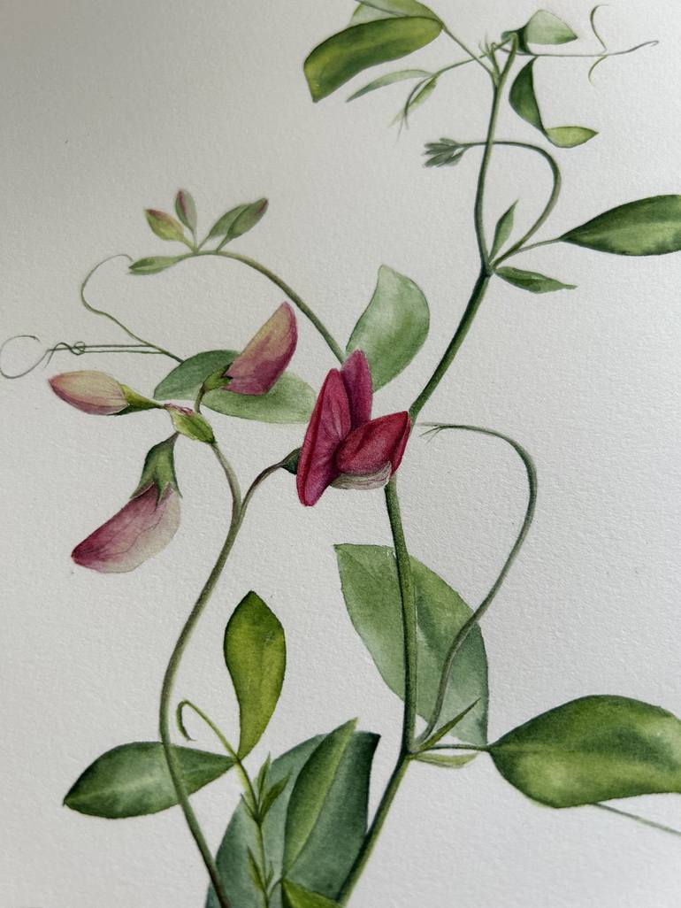 Original Botanic Painting by Julia Gorislavska