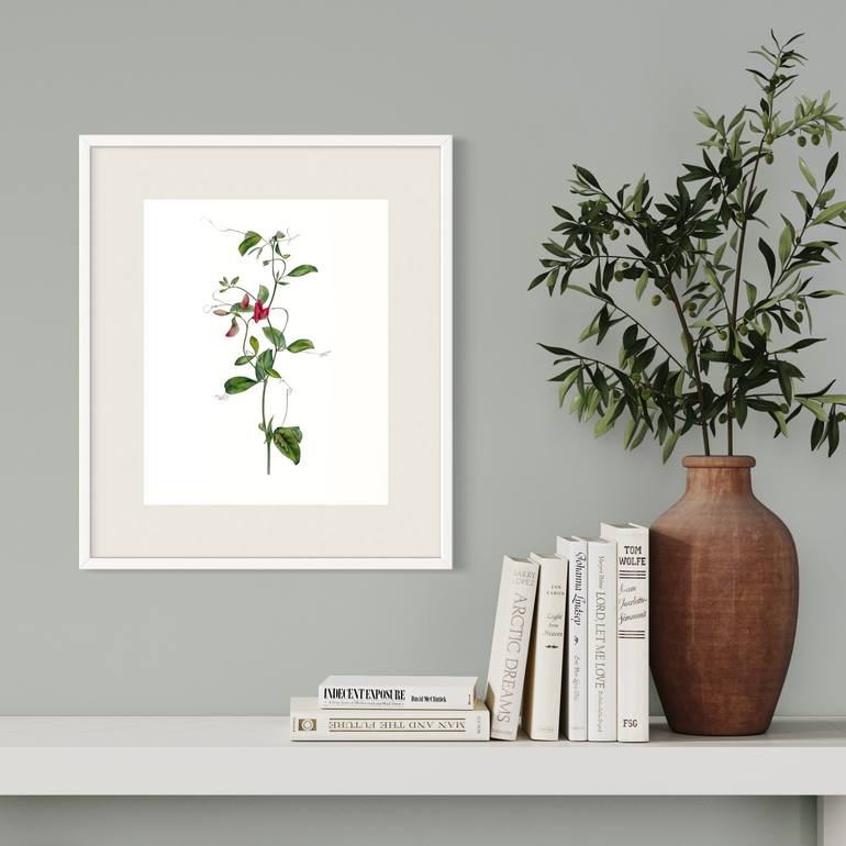 Original Illustration Botanic Painting by Julia Gorislavska