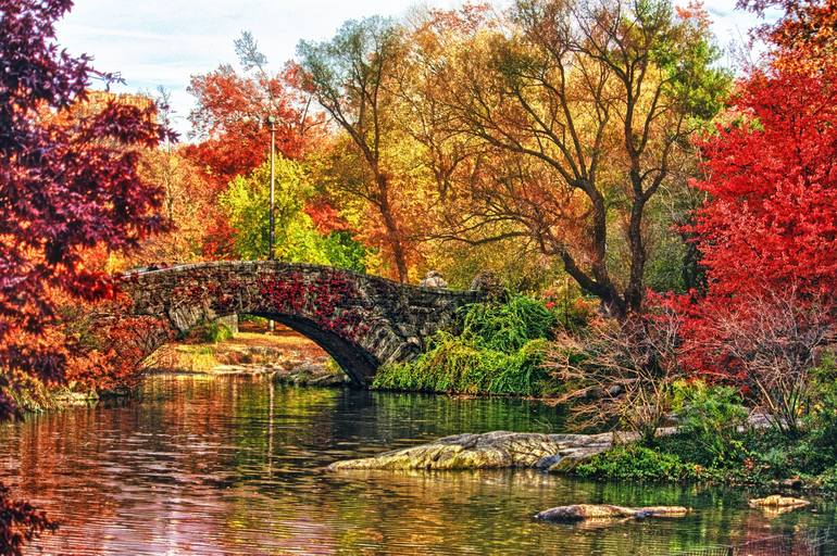 Fall Foliage around Gapstow Bridge in New York's Central Park Photography  by Nishanth Gopinathan | Saatchi Art