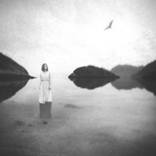 Collection International Spotlight: Norway