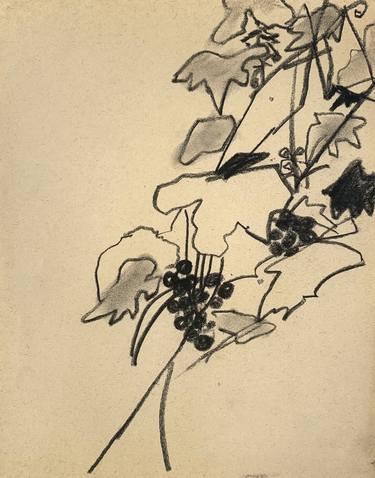 Original Expressionism Botanic Drawings by Agata Sobczak