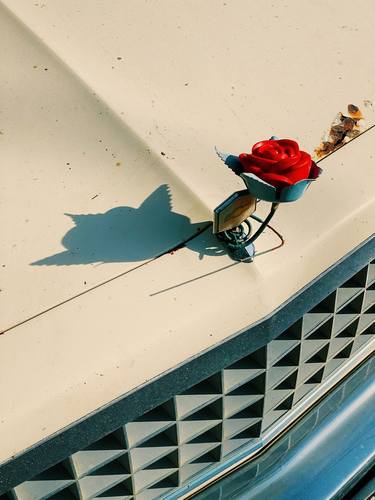 Print of Conceptual Automobile Photography by Deby Sucha