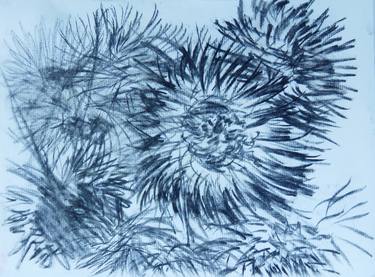 Original Abstract Expressionism Botanic Drawings by Maria Davis