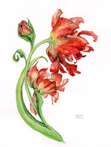 Print of Fine Art Botanic Paintings by Halyna Nechyporuk