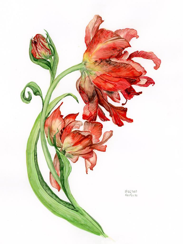 A full tulip Painting by Halyna Nechyporuk | Saatchi Art