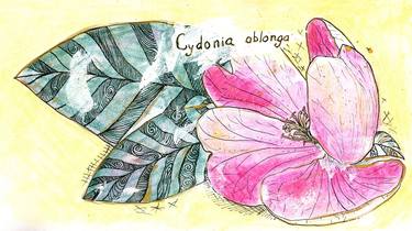 Print of Botanic Drawings by Halyna Nechyporuk