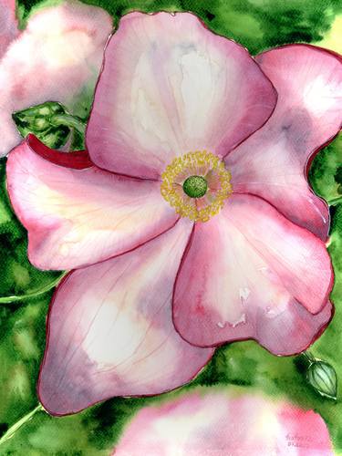 Original Fine Art Botanic Paintings by Halyna Nechyporuk